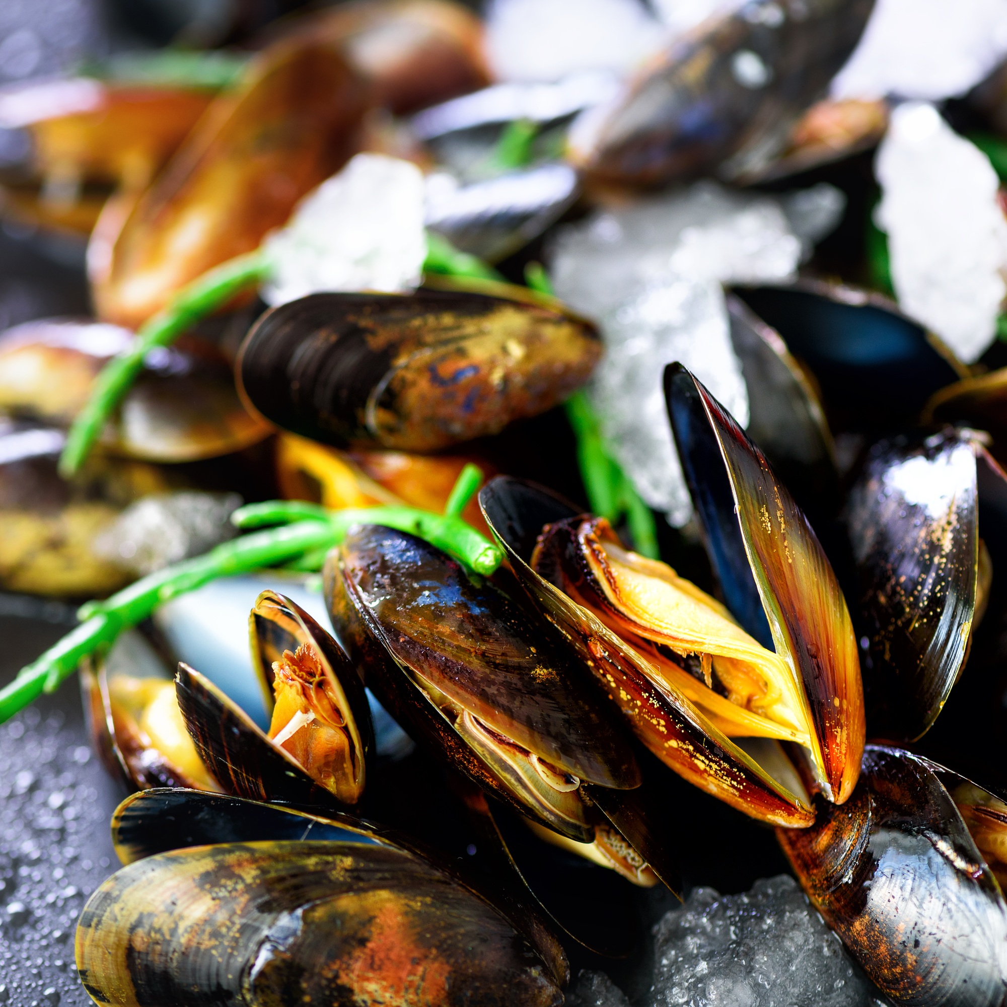 Mussels on stone concrete background. Top view, copy space. Toned sunny effect